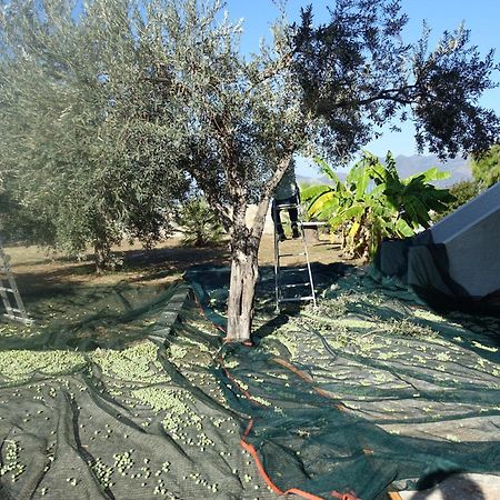 Villa In Kalloni Direkt Am Meer, Tolle Aussicht المظهر الخارجي الصورة