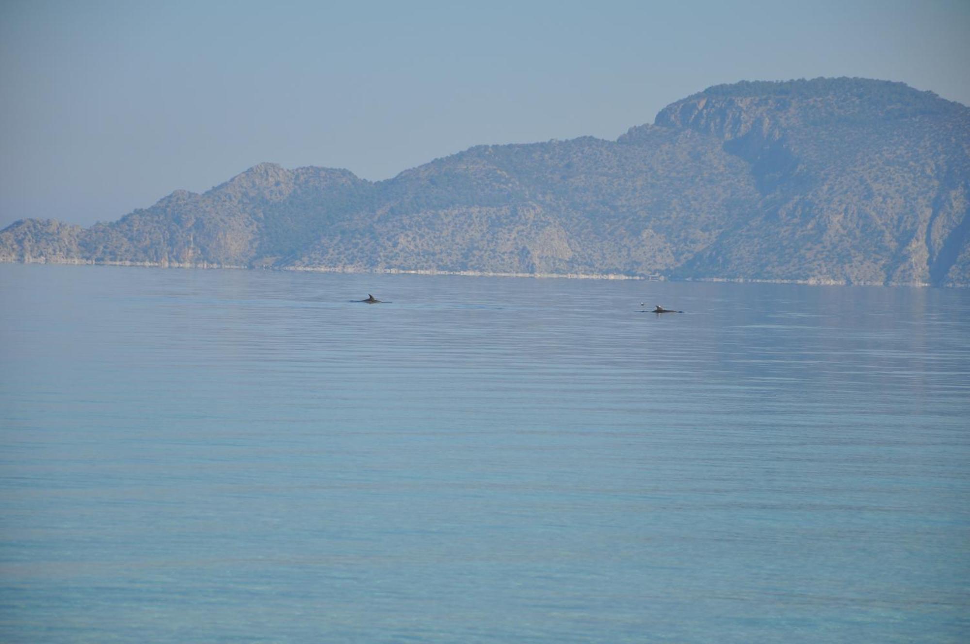 Villa In Kalloni Direkt Am Meer, Tolle Aussicht المظهر الخارجي الصورة