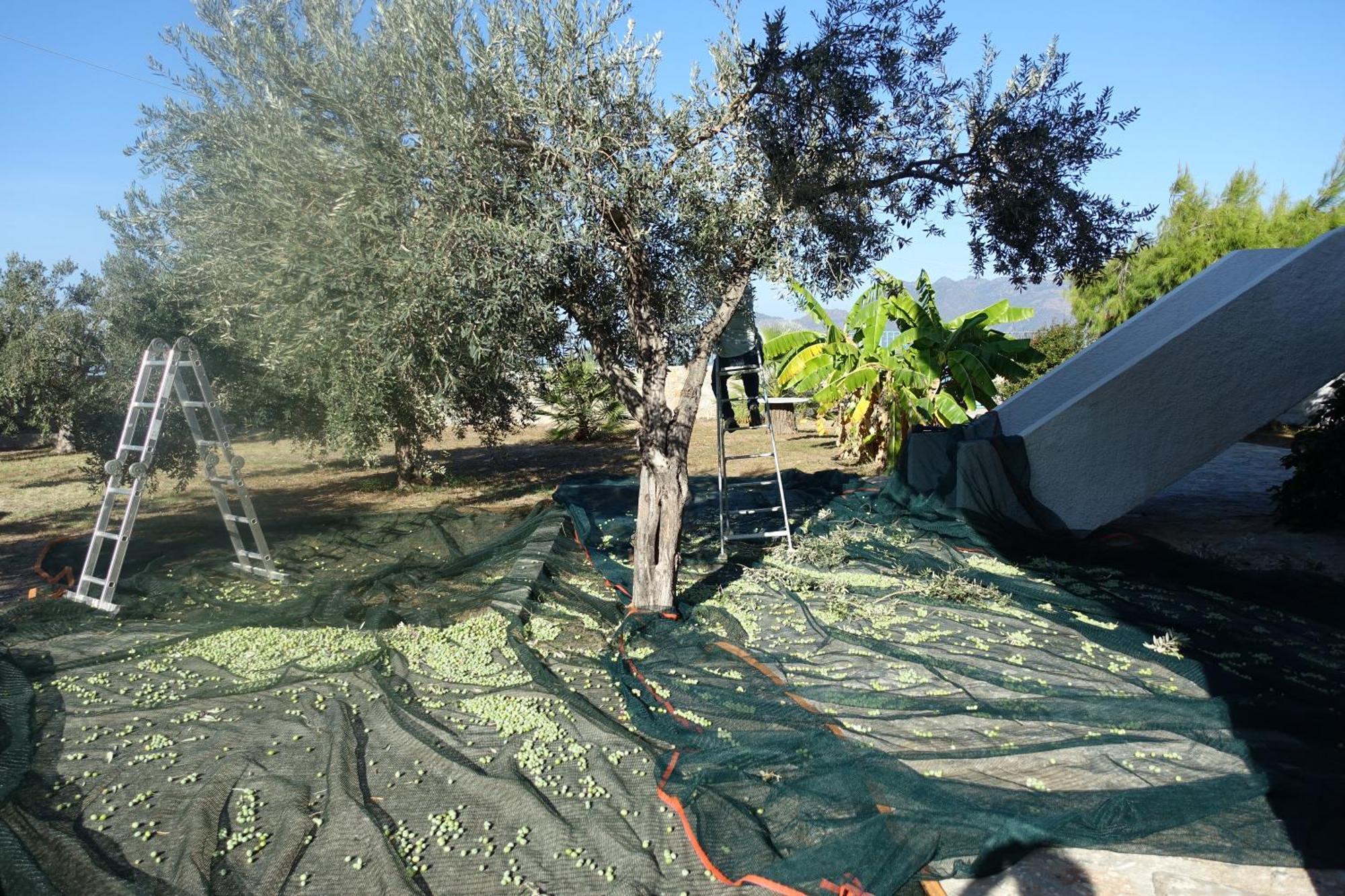 Villa In Kalloni Direkt Am Meer, Tolle Aussicht المظهر الخارجي الصورة